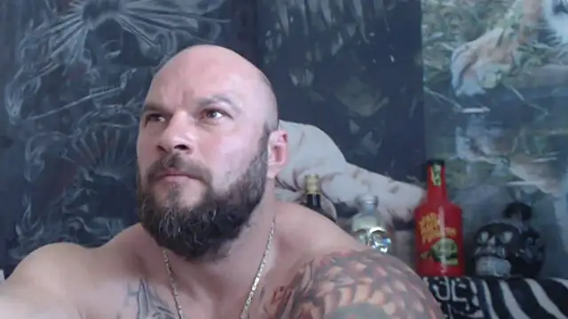 viking_30 webcam