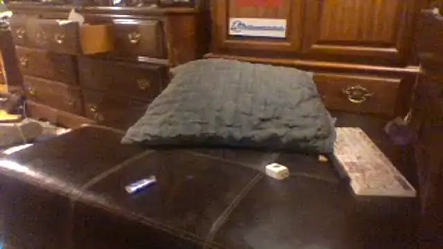 dickencidr webcam