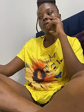 Sis27 webcam