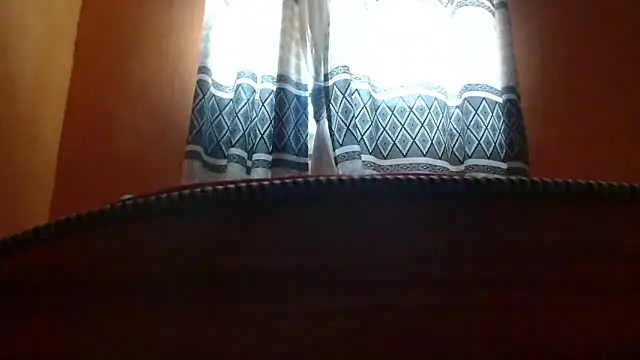 titi_fiesta webcam