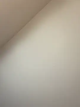 BambiKitty