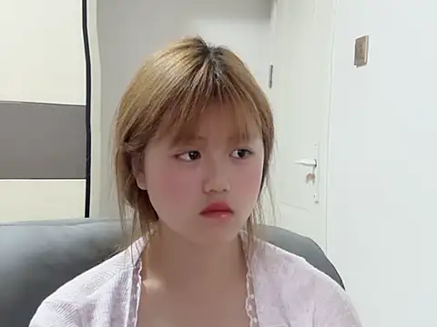TYS-711 webcam