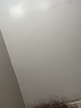 Nattiddlg webcam