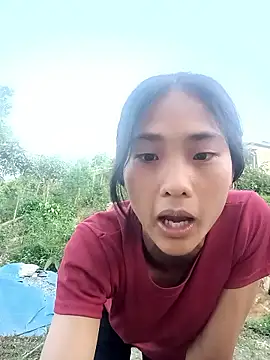 Hoa-tuylip