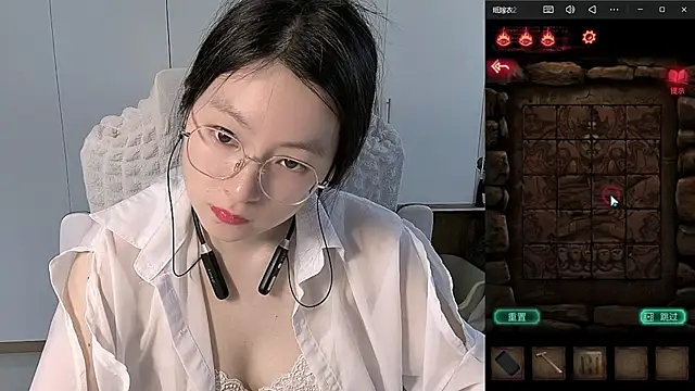 Erya-369 webcam