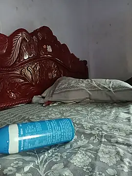 Hansikatelugu