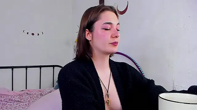 LiyaFly webcam