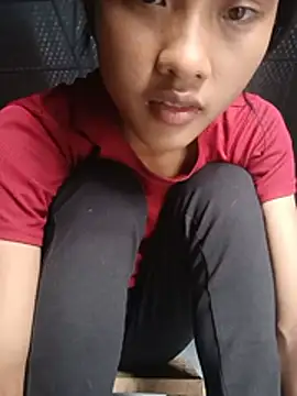 Hoa-tuylip