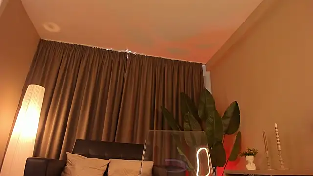 torri_kitten webcam