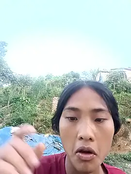 Hoa-tuylip