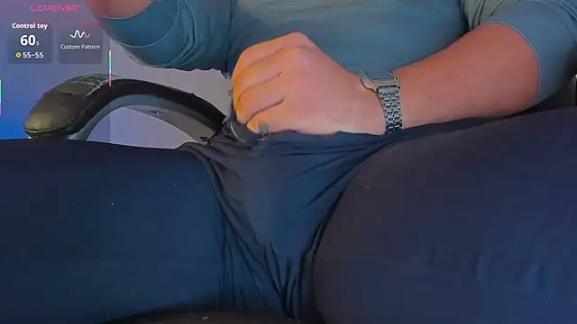 BulgeArt webcam