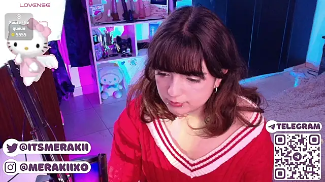 meraki_fraise webcam