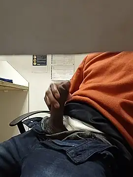 RETURNOFTPNUTS webcam