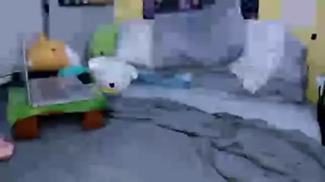 LordSpunFun webcam