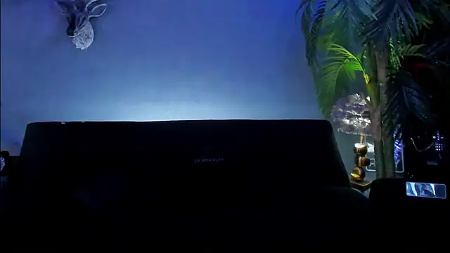 dennis_cox1 webcam