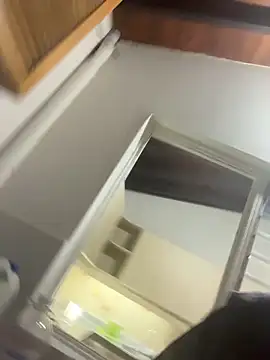 cotton_07 webcam