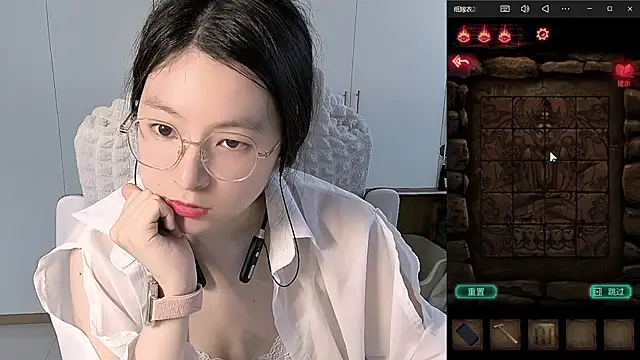 Erya-369 webcam