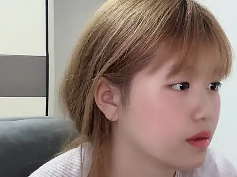 TYS-711 webcam