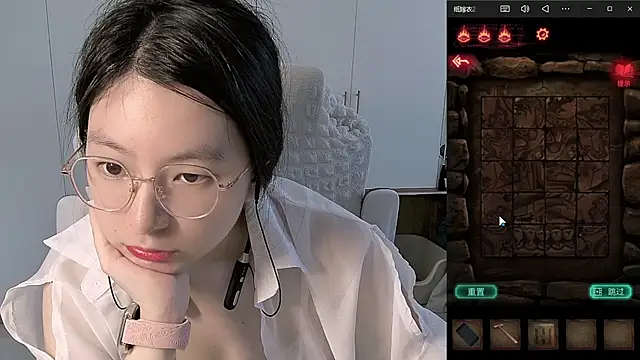 Erya-369 webcam