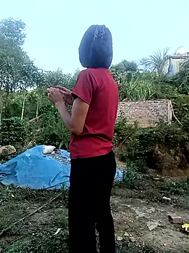 Hoa-tuylip