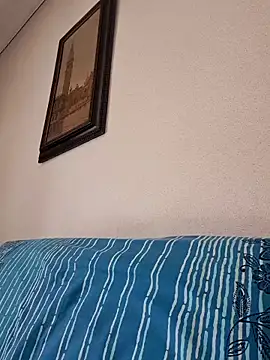 Sony28v webcam