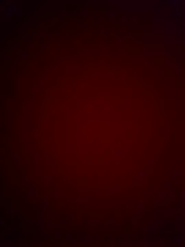 TommyMomentum webcam