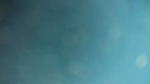 sissyvee webcam