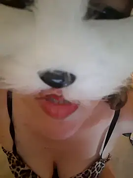 SPrITZMAUS webcam