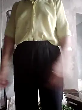phlin1 webcam