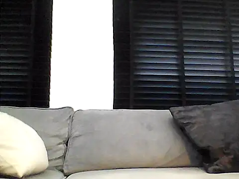 perlados webcam