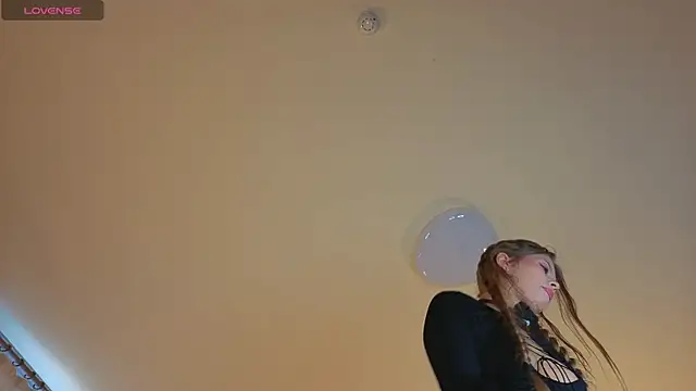 LollaStich webcam