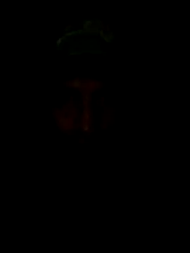 S7LEALTADPERVLIMA7 webcam