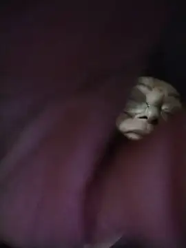 mouth22 webcam