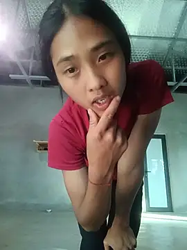 Hoa-tuylip