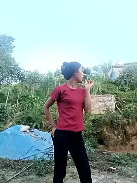 Hoa-tuylip
