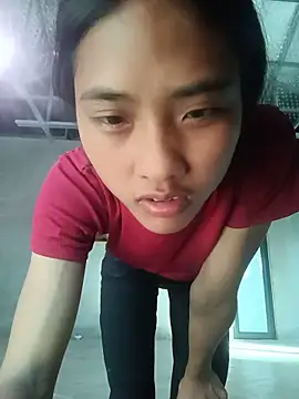Hoa-tuylip webcam