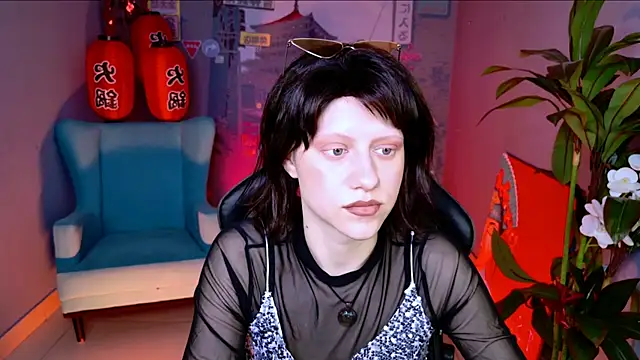 LidaDarknet webcam