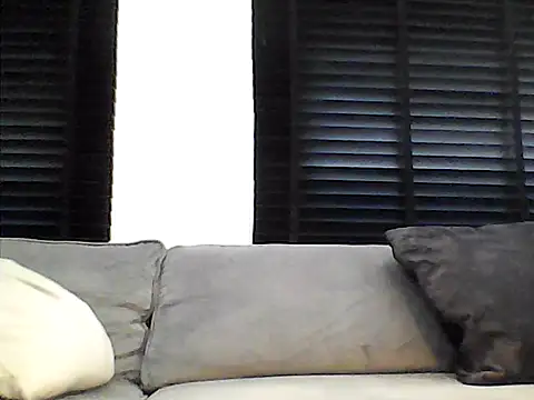 perlados webcam