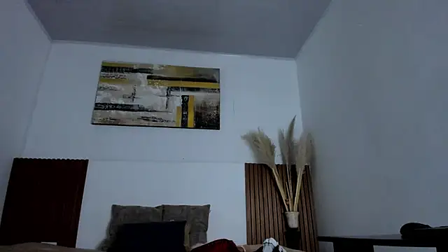 jean_sneider webcam