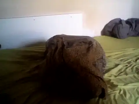 MattedOdobenus webcam