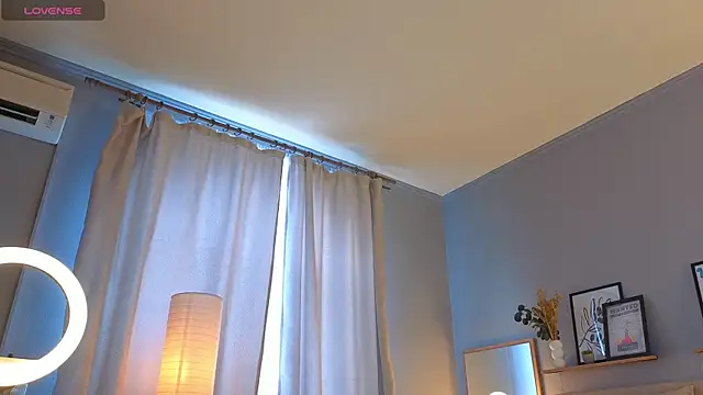 LollaStich webcam