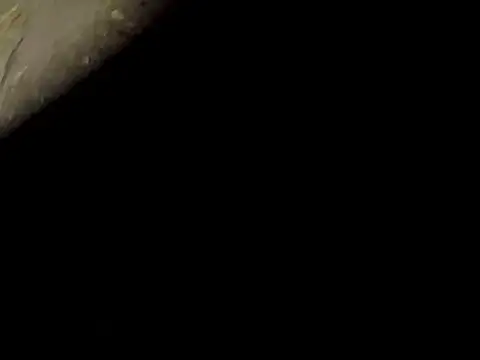 xxxavior69 webcam