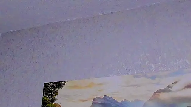 Tyler_durten webcam