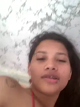 gtn887 webcam
