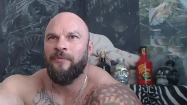 viking_30 webcam