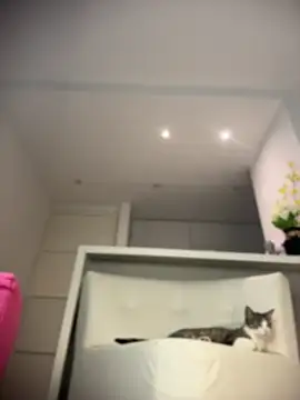 NicoleCut webcam