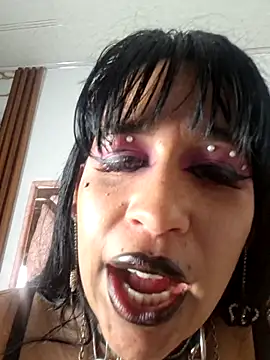 valen_ros webcam