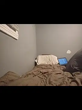 carldhammers webcam
