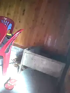 Brenal webcam