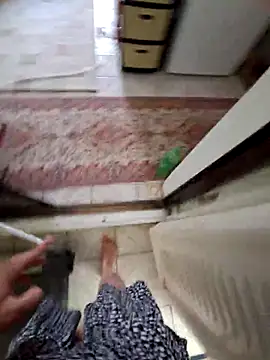 sow700sow webcam